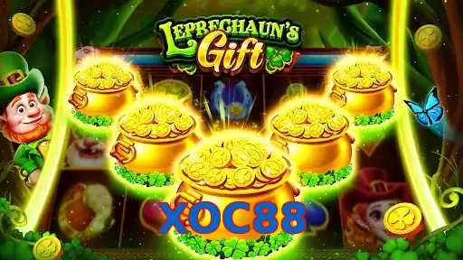 XOC88